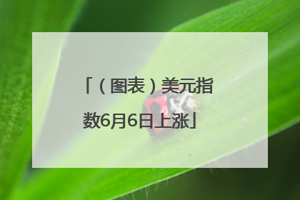 （图表）美元指数6月6日上涨