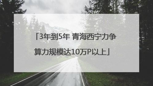 3年到5年 青海西宁力争算力规模达10万P以上