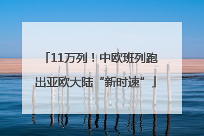 11万列！中欧班列跑出亚欧大陆“新时速”