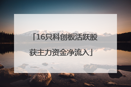 16只科创板活跃股获主力资金净流入