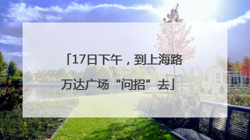 17日下午，到上海路万达广场“问招”去