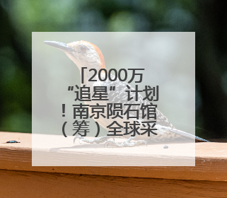 2000万“追星”计划！南京陨石馆（筹）全球采购陨石