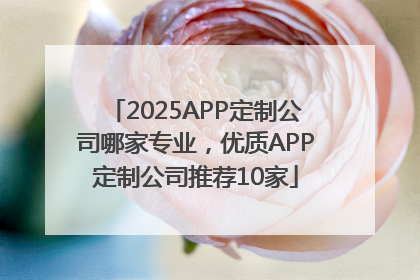 2025APP定制公司哪家专业，优质APP定制公司推荐10家