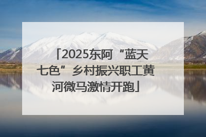 2025东阿“蓝天七色”乡村振兴职工黄河微马激情开跑