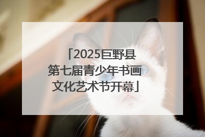 2025巨野县第七届青少年书画文化艺术节开幕