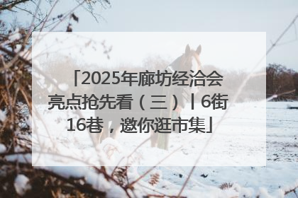 2025年廊坊经洽会亮点抢先看（三）丨6街16巷，邀你逛市集