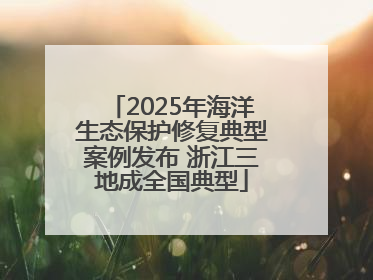 2025年海洋生态保护修复典型案例发布 浙江三地成全国典型