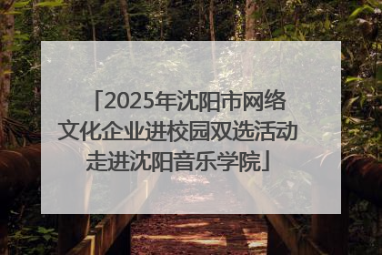 2025年沈阳市网络文化企业进校园双选活动走进沈阳音乐学院