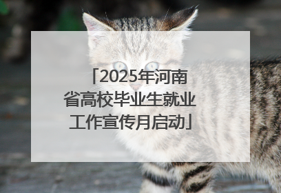 2025年河南省高校毕业生就业工作宣传月启动