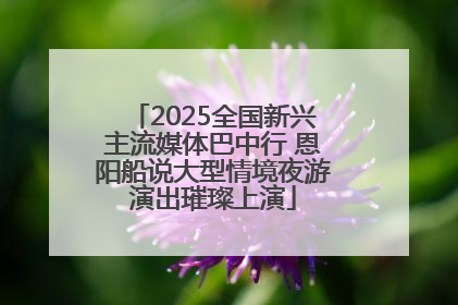 2025全国新兴主流媒体巴中行 恩阳船说大型情境夜游演出璀璨上演