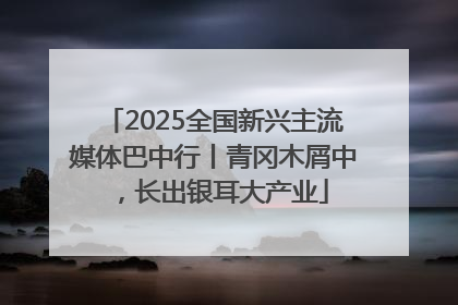2025全国新兴主流媒体巴中行丨青冈木屑中，长出银耳大产业