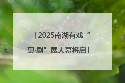 2025南湖有戏“惠·剧”展大幕将启