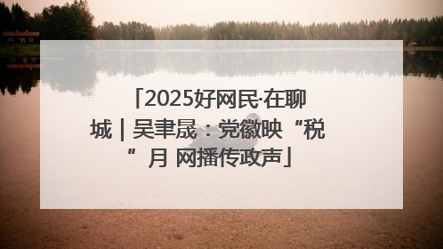 2025好网民·在聊城｜吴聿晟：党徽映“税”月 网播传政声