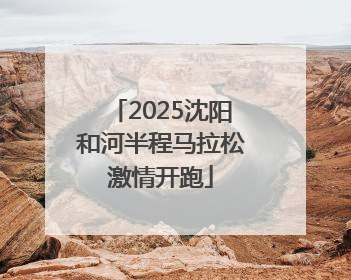 2025沈阳和河半程马拉松激情开跑