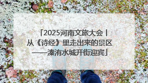 2025河南文旅大会丨从《诗经》里走出来的景区——溱洧水城开街迎宾