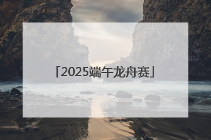 2025端午龙舟赛