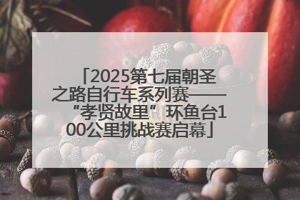 2025第七届朝圣之路自行车系列赛——“孝贤故里”环鱼台100公里挑战赛启幕