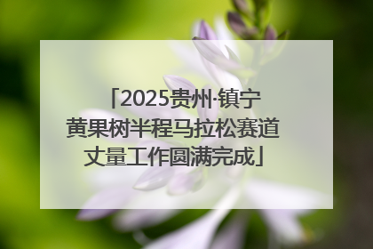 2025贵州·镇宁黄果树半程马拉松赛道丈量工作圆满完成
