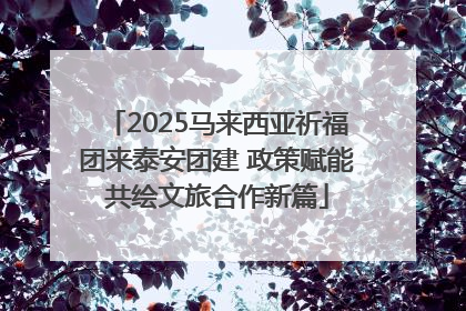 2025马来西亚祈福团来泰安团建 政策赋能共绘文旅合作新篇