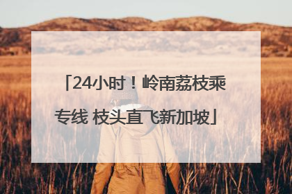 24小时！岭南荔枝乘专线 枝头直飞新加坡