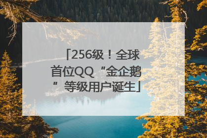 256级！全球首位QQ“金企鹅”等级用户诞生