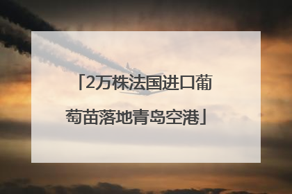 2万株法国进口葡萄苗落地青岛空港
