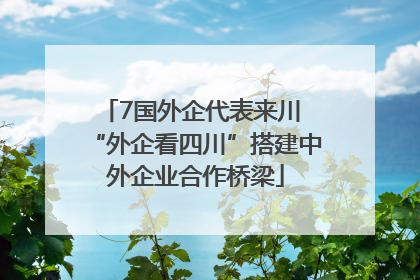 7国外企代表来川 “外企看四川”搭建中外企业合作桥梁