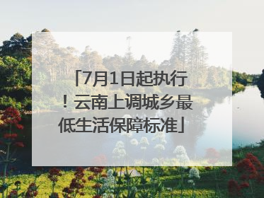 7月1日起执行！云南上调城乡最低生活保障标准