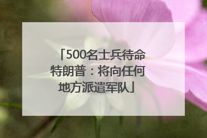 500名士兵待命 特朗普：将向任何地方派遣军队