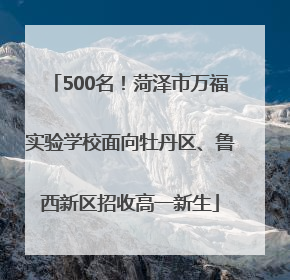 500名！菏泽市万福实验学校面向牡丹区、鲁西新区招收高一新生