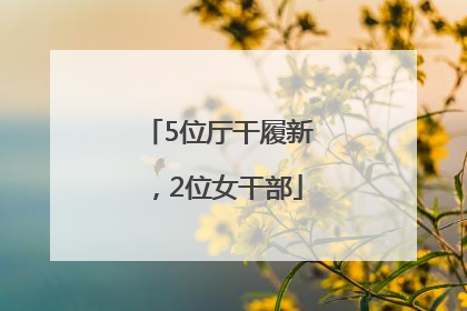 5位厅干履新，2位女干部
