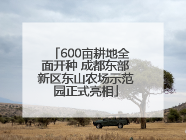 600亩耕地全面开种 成都东部新区东山农场示范园正式亮相