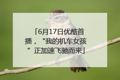 6月17日优酷首播，“我的机车女孩”正加速飞驰而来