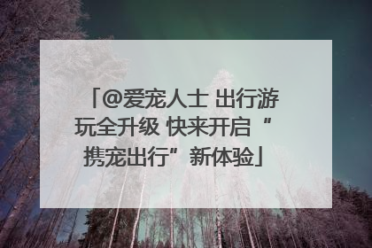 @爱宠人士 出行游玩全升级 快来开启“携宠出行”新体验