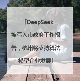DeepSeek被写入市政府工作报告，杭州将支持算法模型企业发展