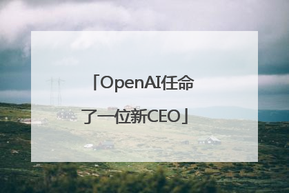 OpenAI任命了一位新CEO